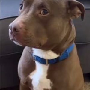 Meet your Posher, Matt